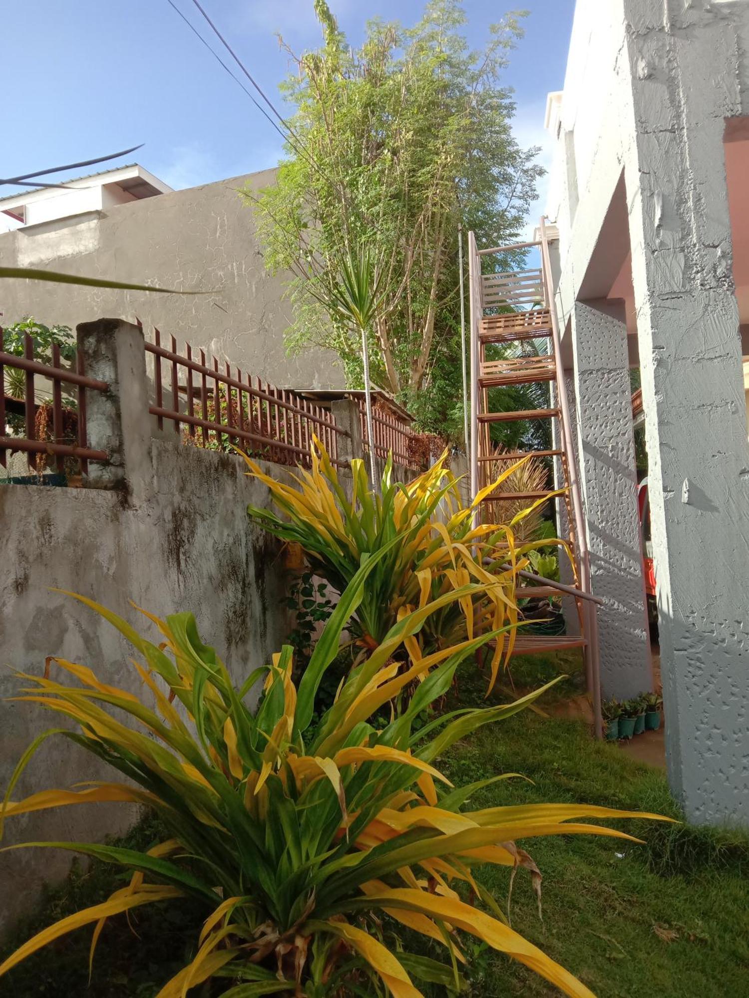 Friz Love Room Rental San Juan  Buitenkant foto